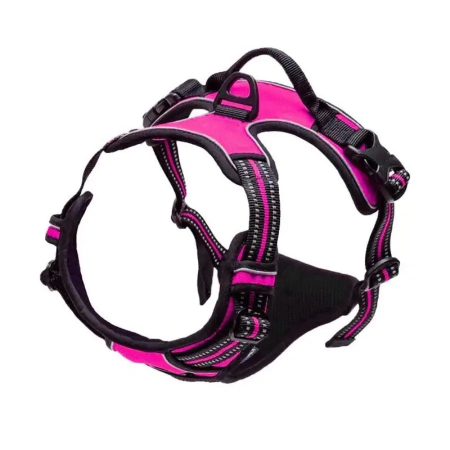 Leather Dog Harness & Collar Set