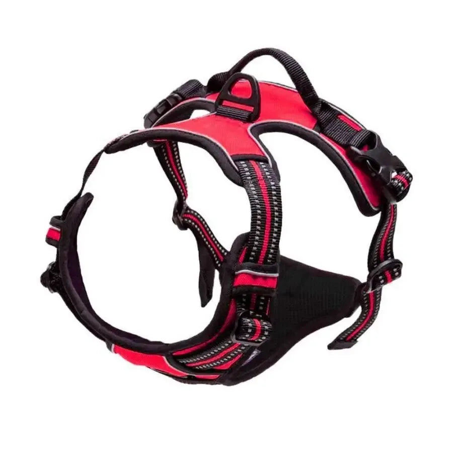 Leather Dog Harness & Collar Set