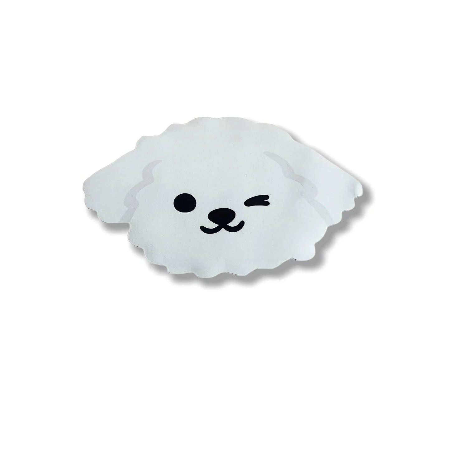 Magic Instant-Dry Pet Placemat – Anti-Bacterial Diatomite Water Absorbent Mat for Dogs & Cats