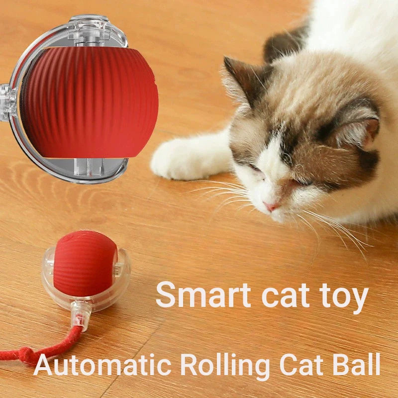 Smart Interactive Cat Ball Toy – Automatic Self-Rolling & USB-C Rechargeable