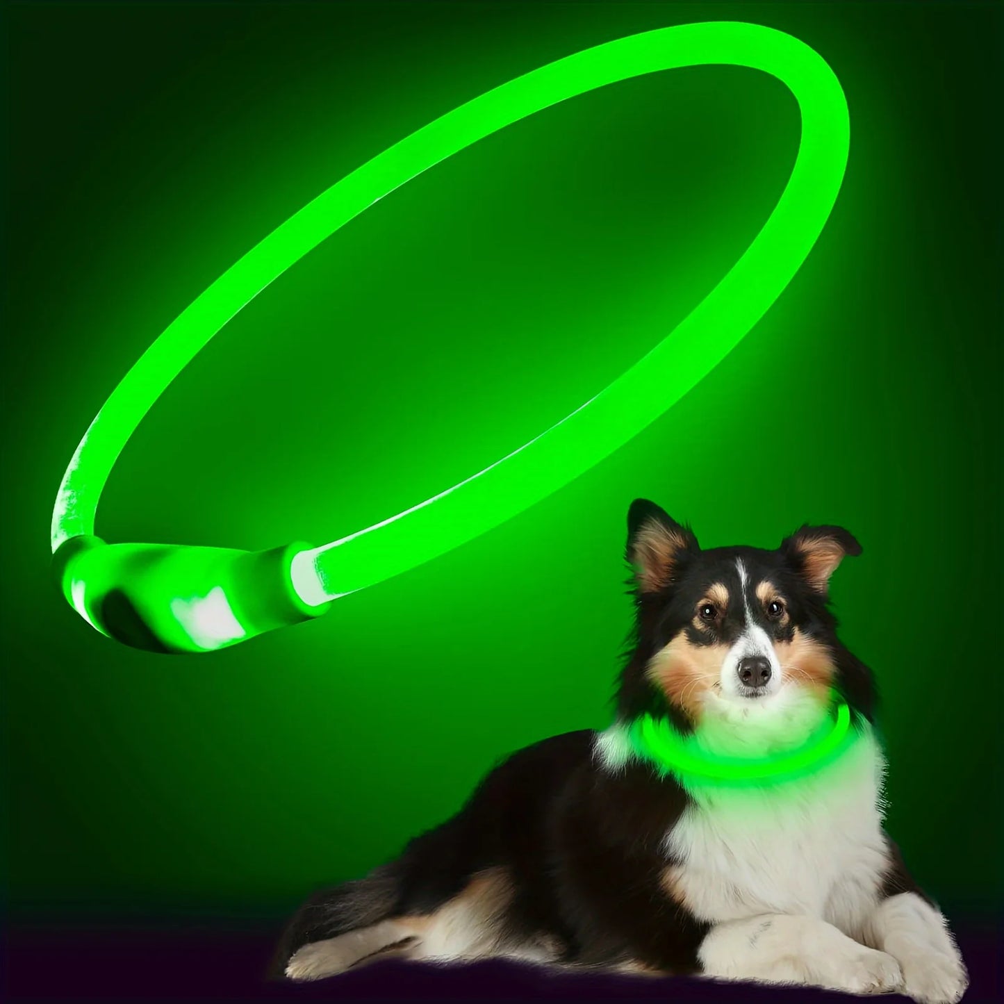 LED Luminous Safety Dog Collar – USB Rechargeable & Weather-Resistant Nylon