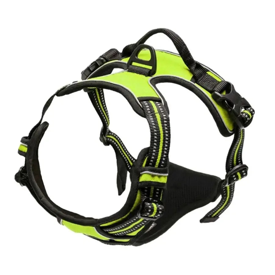 Leather Dog Harness & Collar Set
