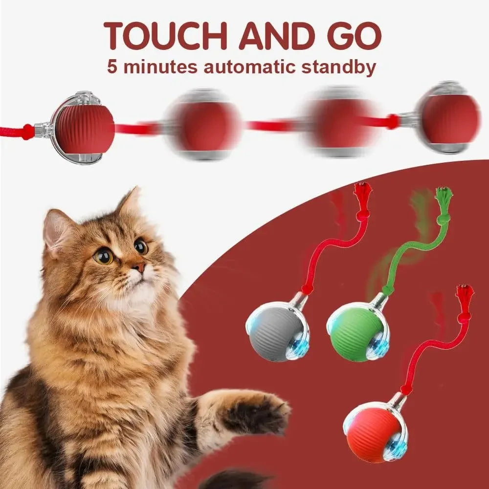 Smart Interactive Cat Ball Toy – Automatic Self-Rolling & USB-C Rechargeable
