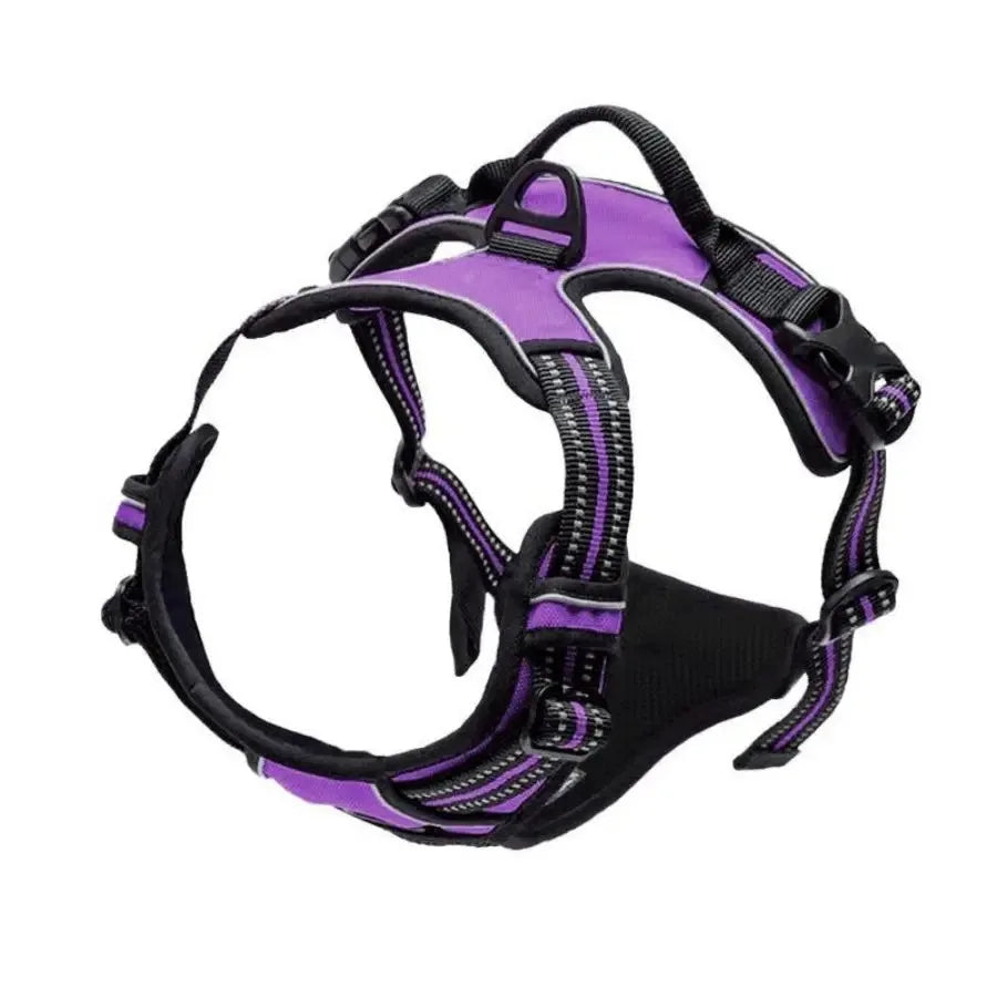 Leather Dog Harness & Collar Set