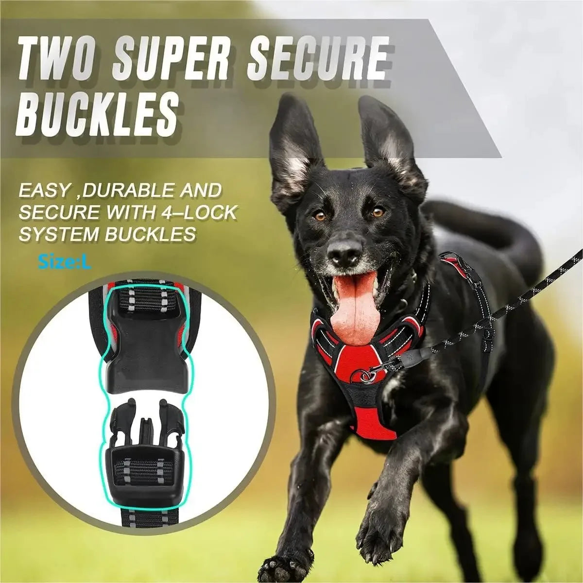 Leather Dog Harness & Collar Set
