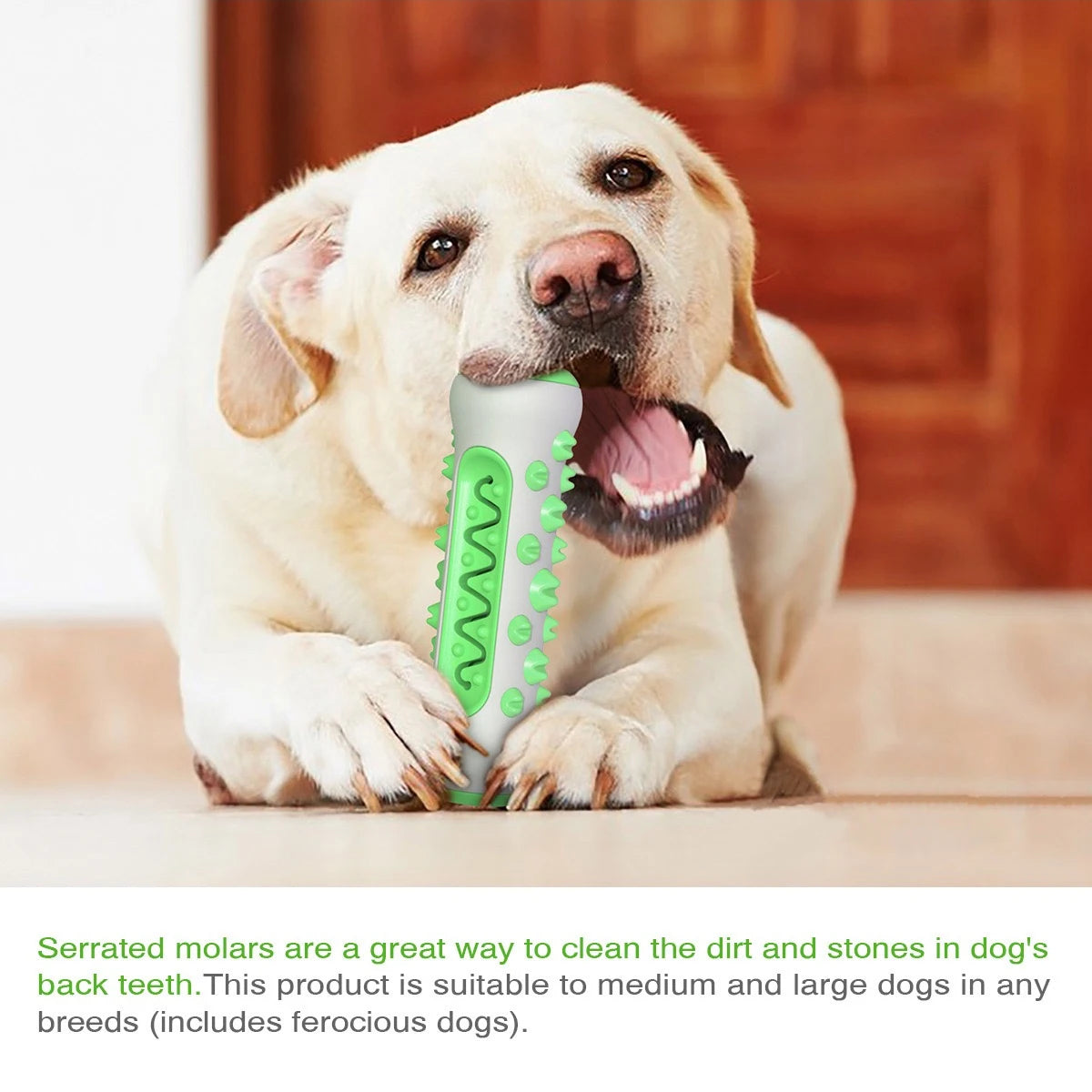 Durable Dog Dental Chew Bone – 360° Puppy Toothbrush & Teething Molar Stick