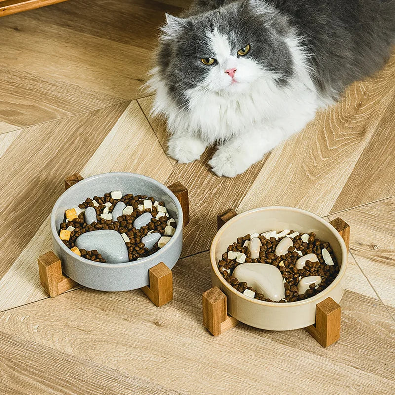 Heavy-Duty Ceramic Slow Food Bowl – Anti-Bloat & Anti-Knock Pet Feeder (500ml)