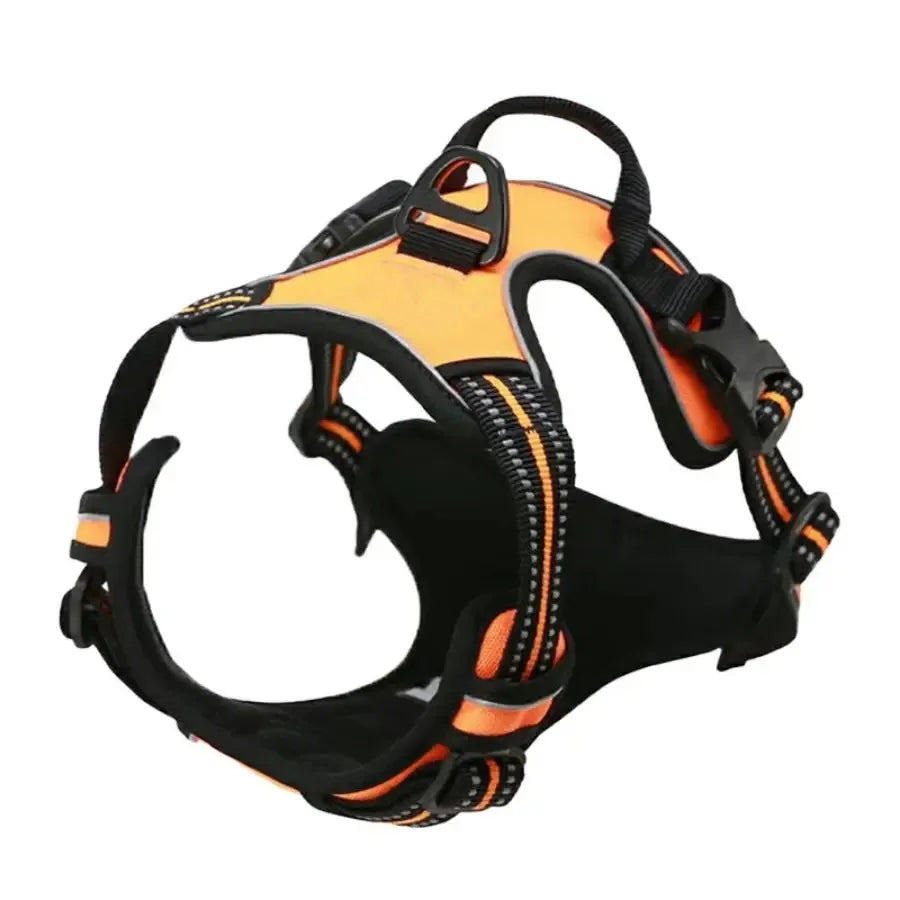 Leather Dog Harness & Collar Set