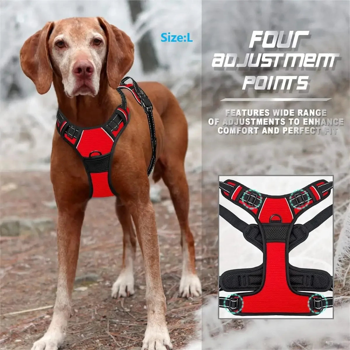 Leather Dog Harness & Collar Set