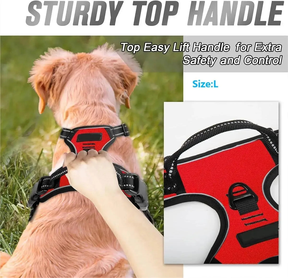 Leather Dog Harness & Collar Set