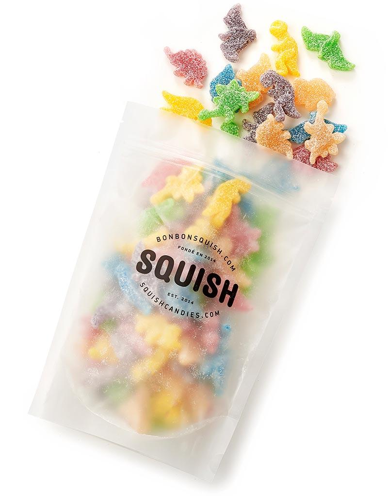 SQUISH Dinosours