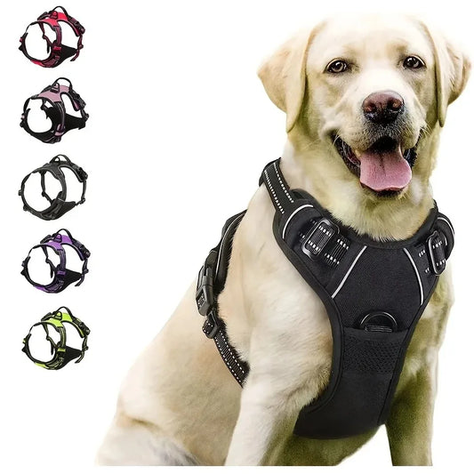 Leather Dog Harness & Collar Set