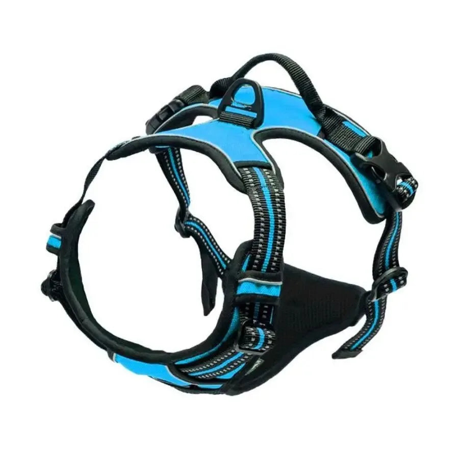 Leather Dog Harness & Collar Set