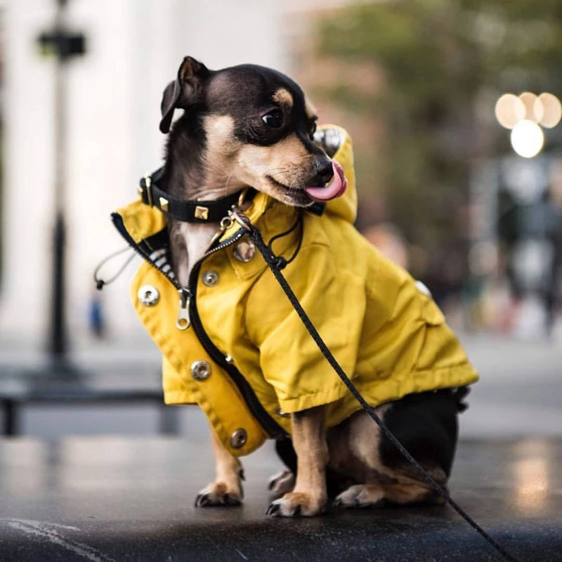 Zentrova All-Weather Pro Pet Raincoat