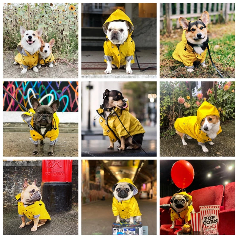 Zentrova All-Weather Pro Pet Raincoat