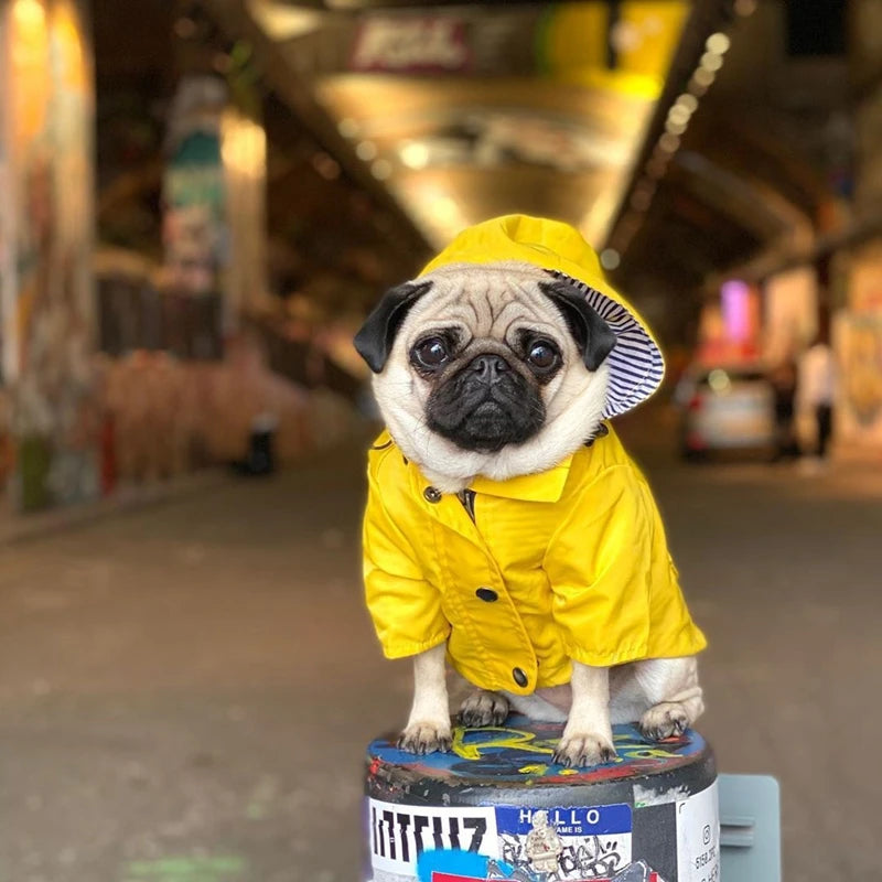 Zentrova All-Weather Pro Pet Raincoat