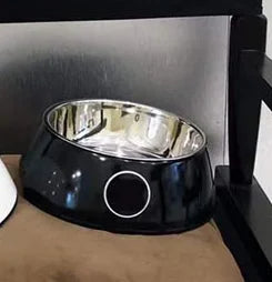 Luxury Stainless Steel Dog & Cat Bowls – Non-Slip Designer Feeder Set with Matching Silicone Mat