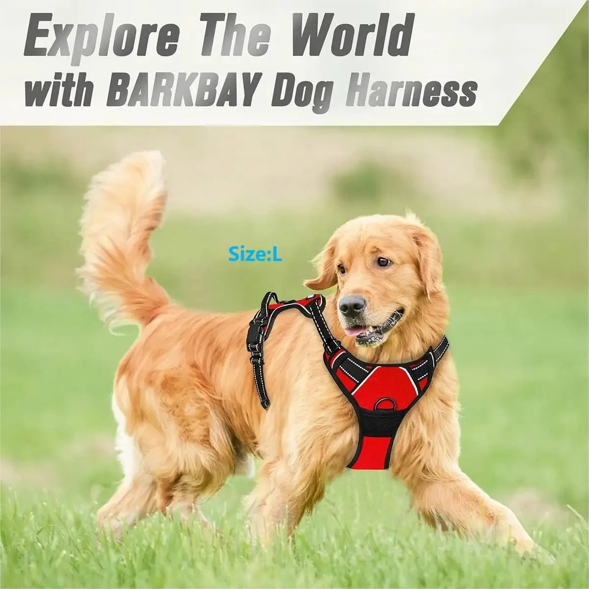 Leather Dog Harness & Collar Set