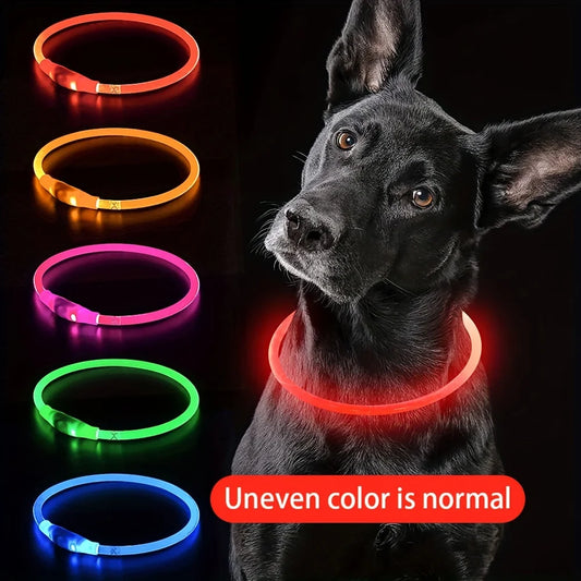 LED Luminous Safety Dog Collar – USB Rechargeable & Weather-Resistant Nylon
