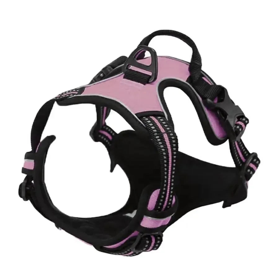 Leather Dog Harness & Collar Set