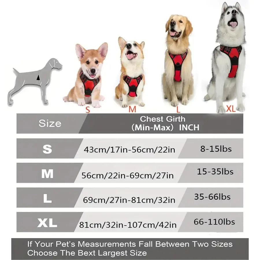 Leather Dog Harness & Collar Set