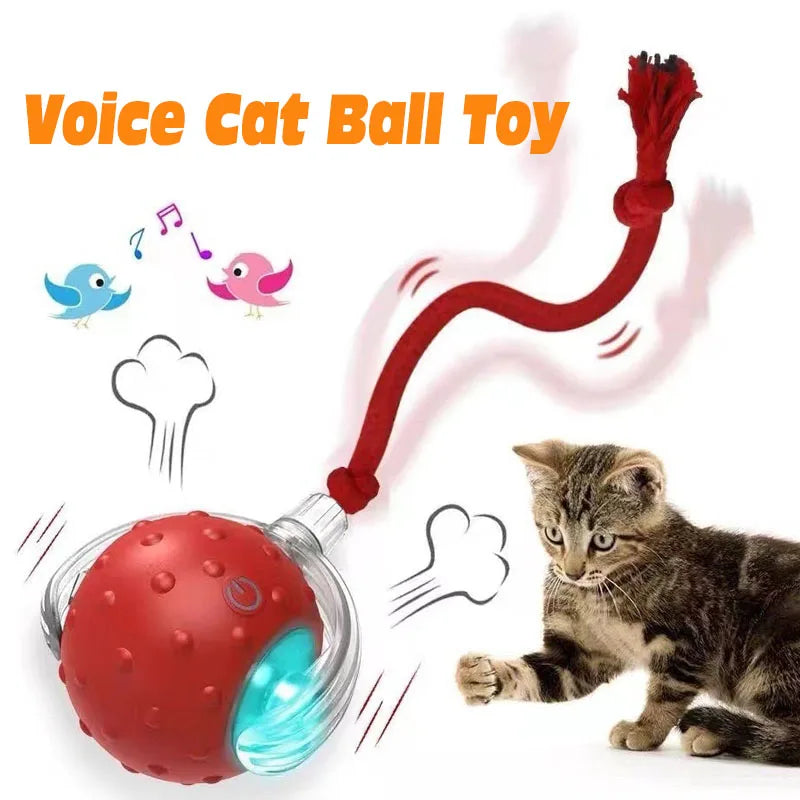 Smart Interactive Cat Ball Toy – Automatic Self-Rolling & USB-C Rechargeable