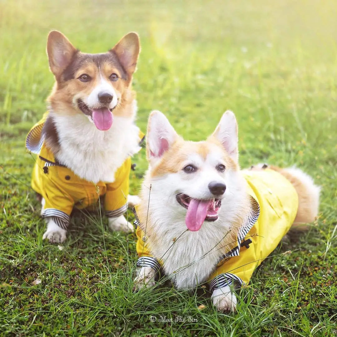 Zentrova All-Weather Pro Pet Raincoat