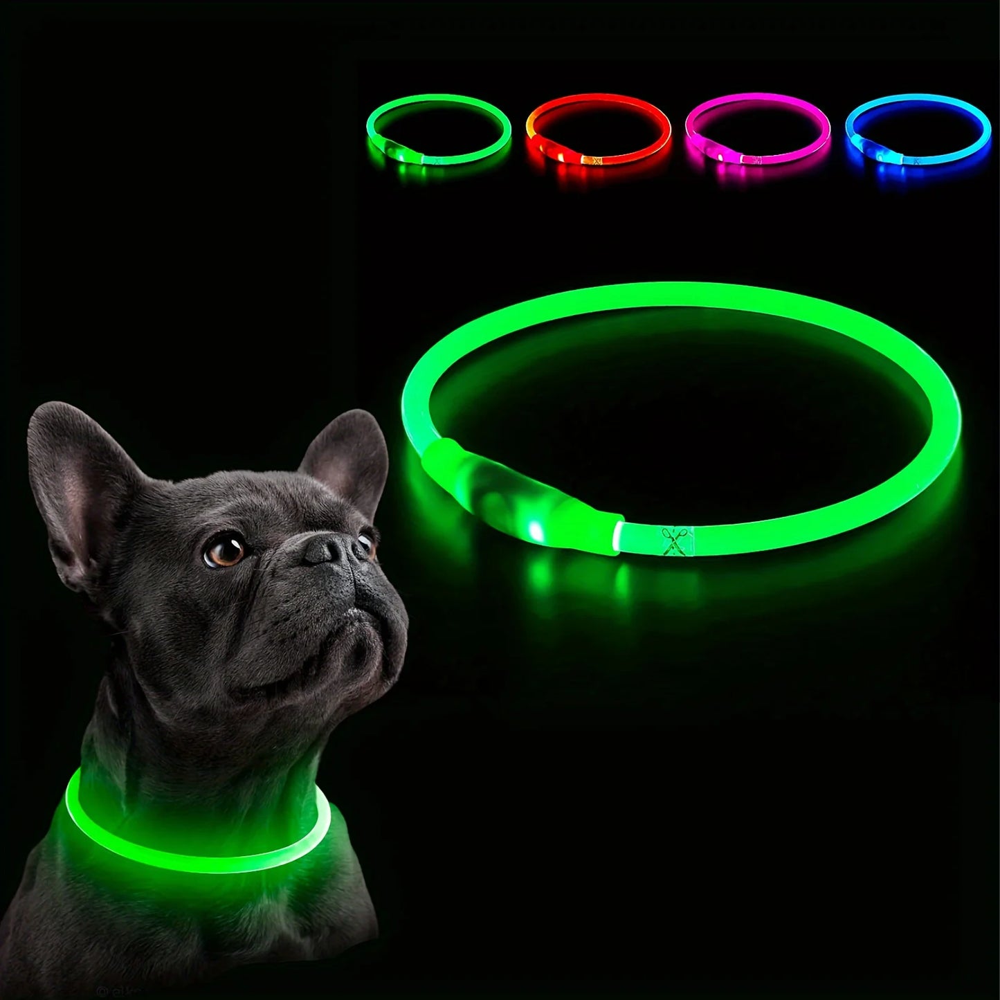 LED Luminous Safety Dog Collar – USB Rechargeable & Weather-Resistant Nylon
