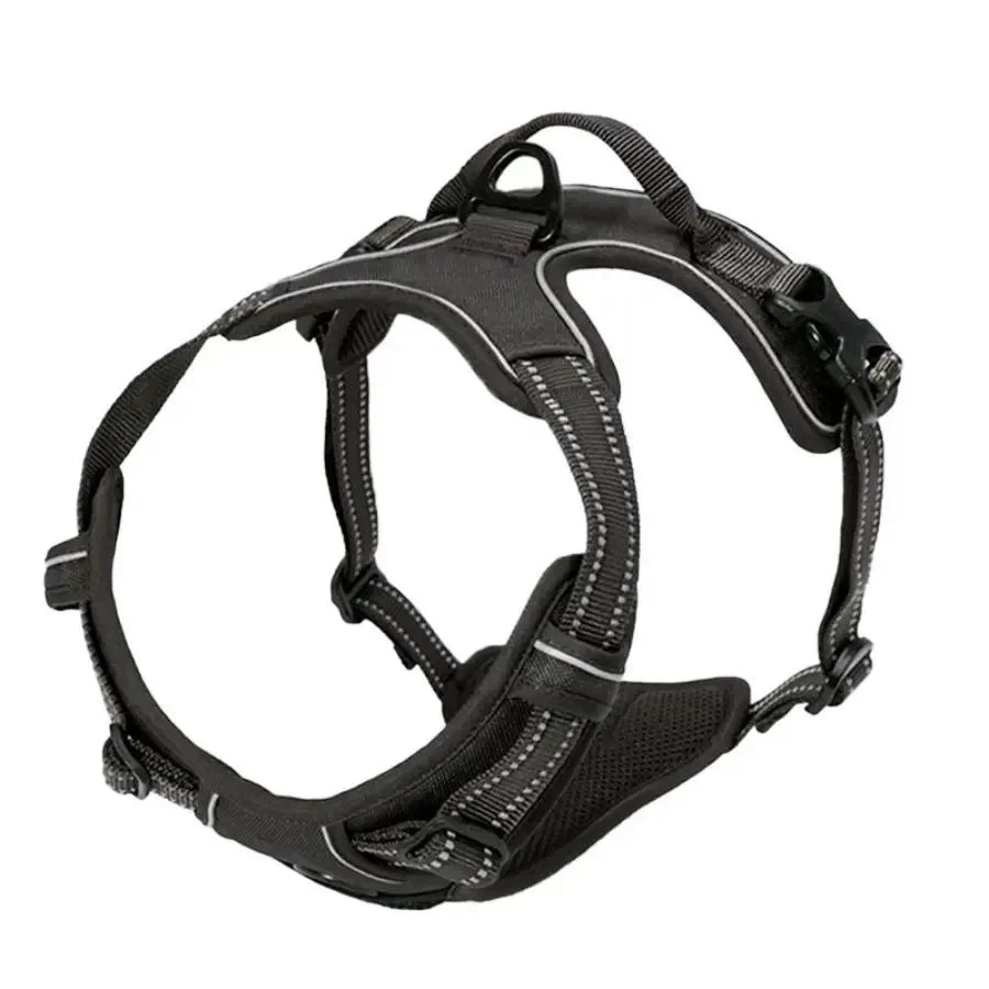 Leather Dog Harness & Collar Set